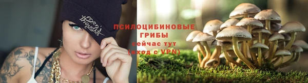 кокаин колумбия Лиски