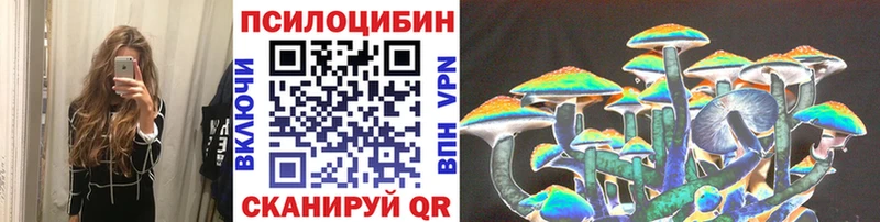Купить где  Инта  Псилоцибиновые грибы Psilocybine cubensis 